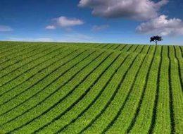 Gübre fiyatına indirim