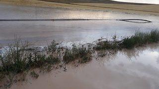 Sel Tarım Arazilerine Zarar Verdi