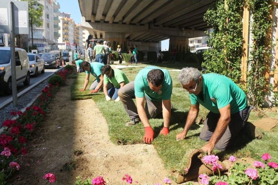 Kuşadası &Ccedil;evre Yolunda Peyzaj &Ccedil;alışmaları S&uuml;r&uuml;yor