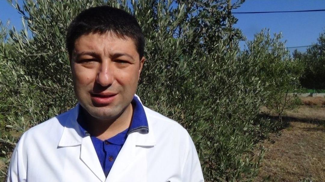 Zeytinyağında Kazıklanmayın