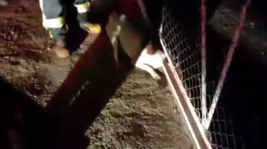 Kafası Kapıya Sıkışan K&ouml;peği İtfaiye Kurtardı