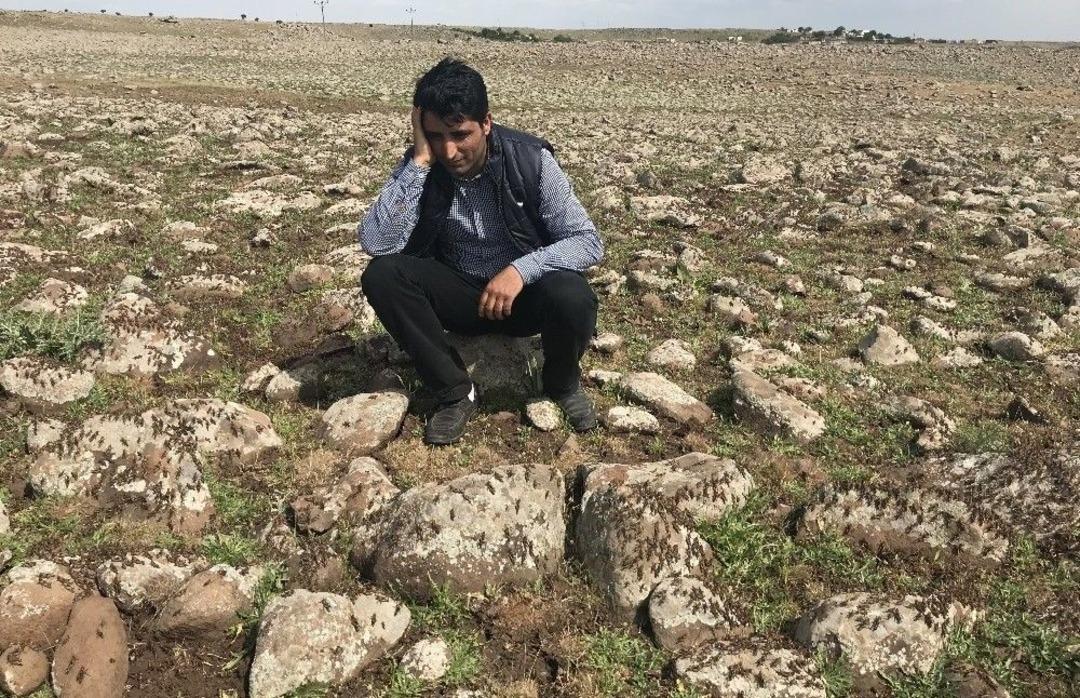 Siverek&rsquo;te K&ouml;y&uuml; &Ccedil;ekirgeler Bastı