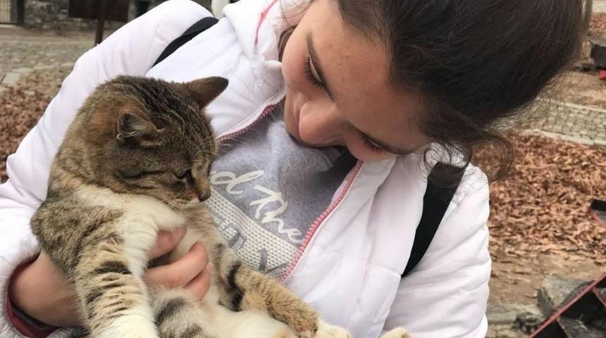 &Ouml;ğrenciler Kedi Kasabası&rsquo;nı Gezdi