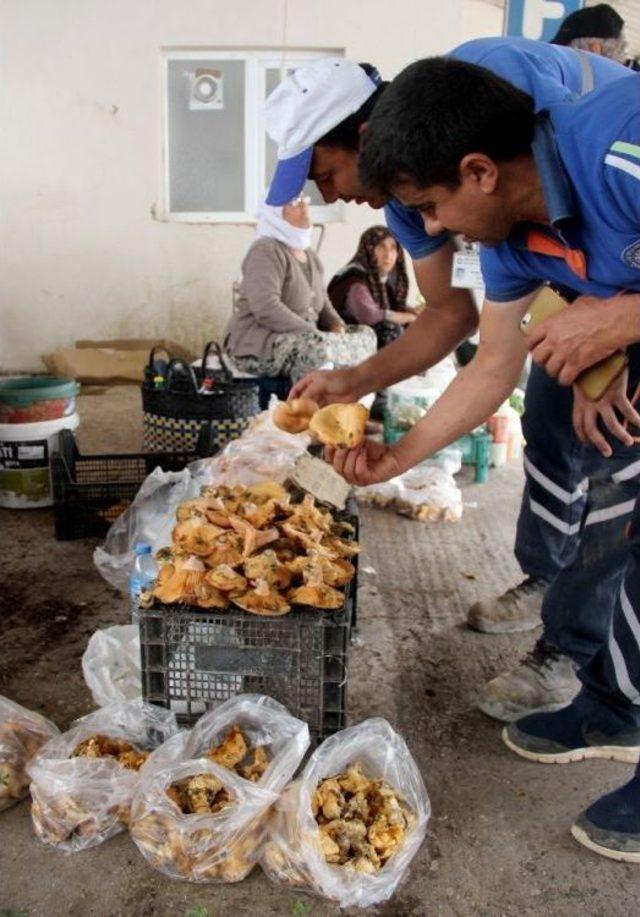 Bu Mevsimde Çıkınca Bakan Bir Daha Baktı