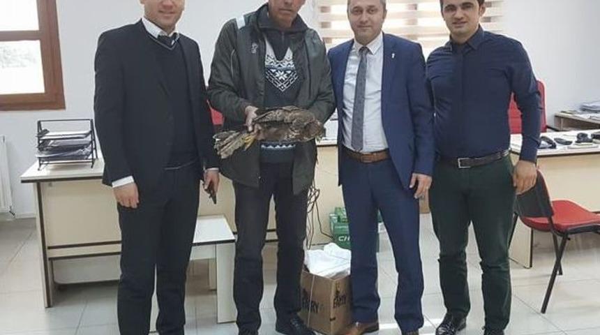 Yaralı Şahin, Milli Parklar Şefliği&rsquo;ne Teslim Edildi