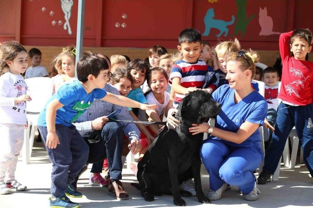 Bayraklı&rsquo;da Can Dostlar Emin Ellerde