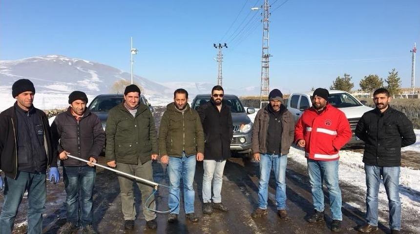 Ardahan Belediyesi Sokak Hayvanlarına Sahip &Ccedil;ıkıyor