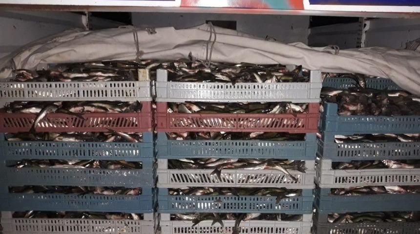 Jandarmadan Kaçak Avcılara Geçit Yok