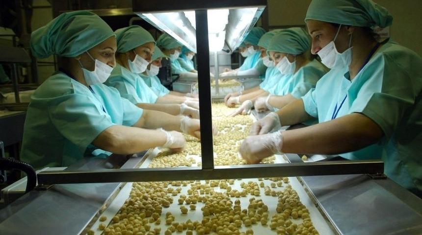 D&uuml;zce&rsquo;den 2017 Yılında 22 Bin 583 Ton İ&ccedil; Fındık İhracatı Ger&ccedil;ekleşti