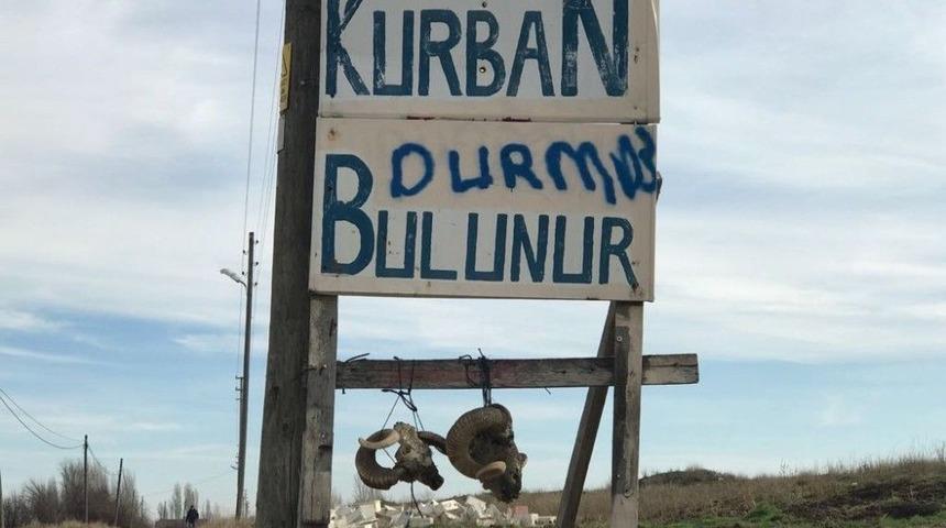 Tabelaya Asılan Ko&ccedil; Başları Şaşırtıyor
