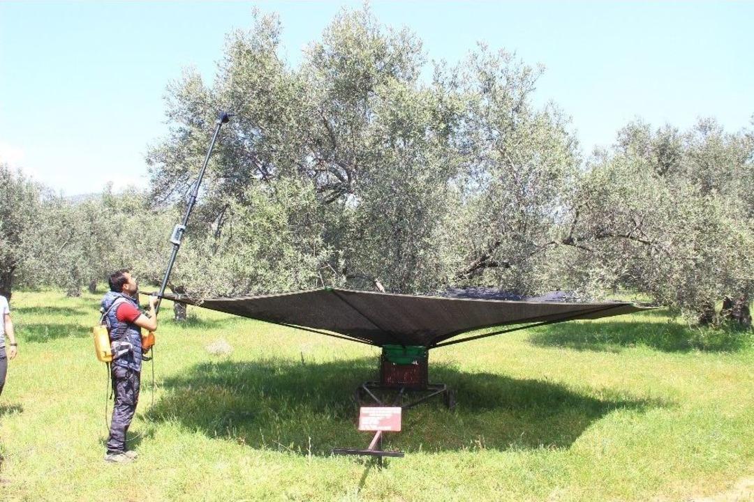 (&ouml;zel Haber) Zeytin &Ccedil;ift&ccedil;isine B&uuml;y&uuml;k Kolaylık