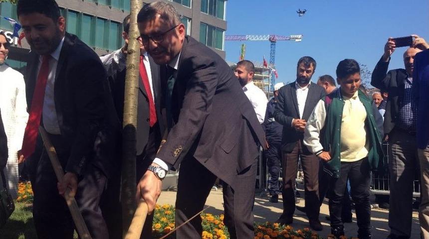 Üsküdar Çavuşbaşı Meydanı Mor Salkımlarla Açıldı