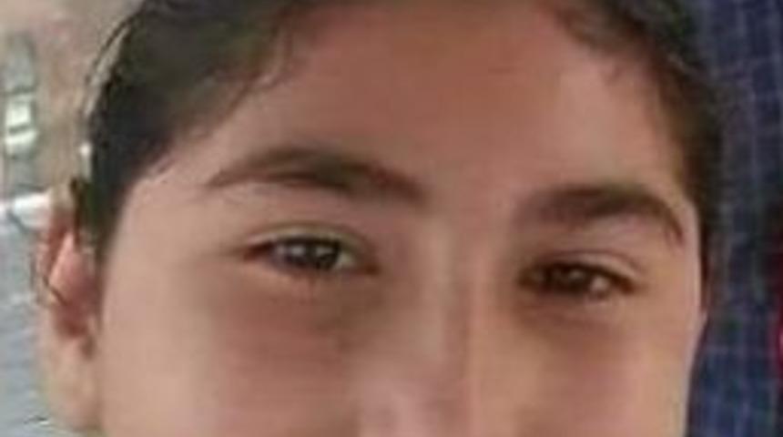 Hafif Ticari Aracın &Ccedil;arptığı &Ouml;ğrenci Kurtarılamadı