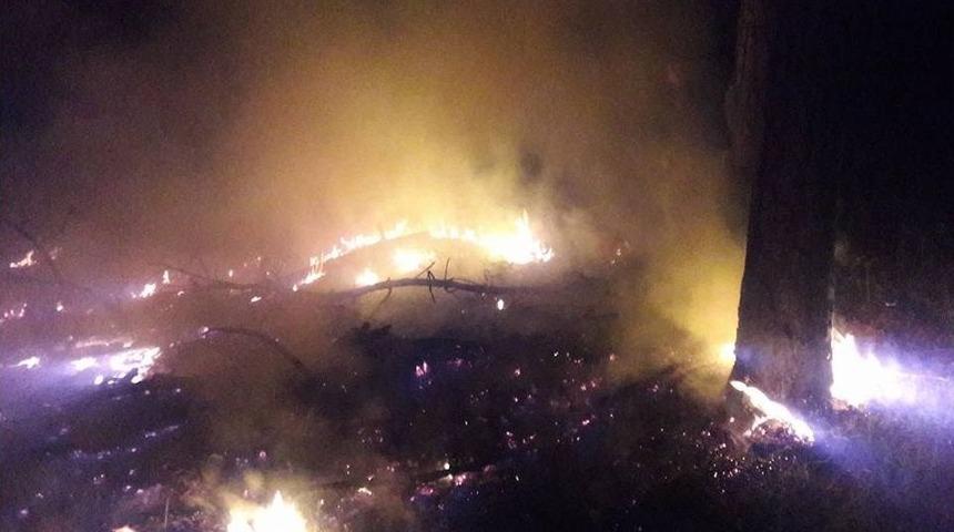 Bursa&rsquo;da Yıldırım D&uuml;şt&uuml; 2 Dekar Alan K&uuml;l Oldu