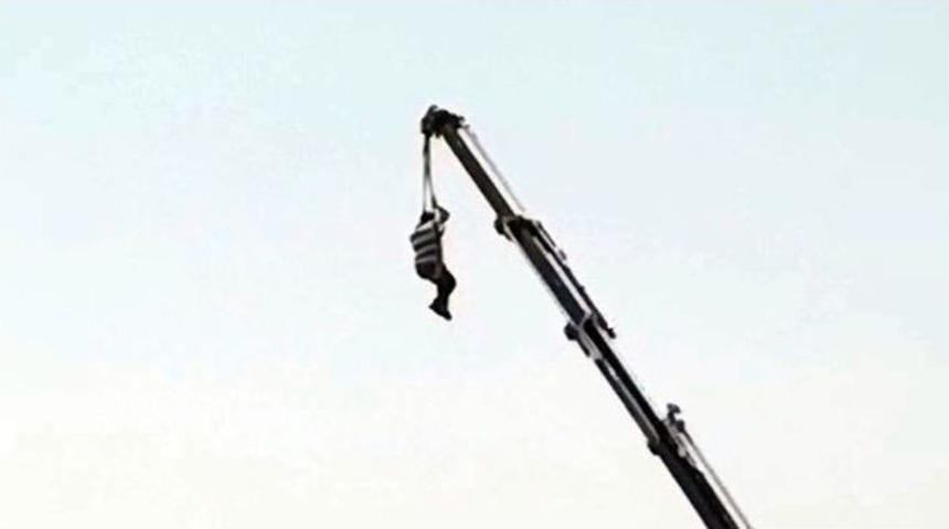 Metrelerce Y&uuml;kseklikteki Vinci Salıncak Yaptı