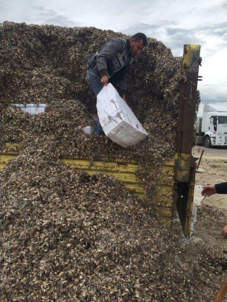 Kurumuş Yaprak Arası Kaçak Sigaraya "tiryaki" İzin Vermedi G2