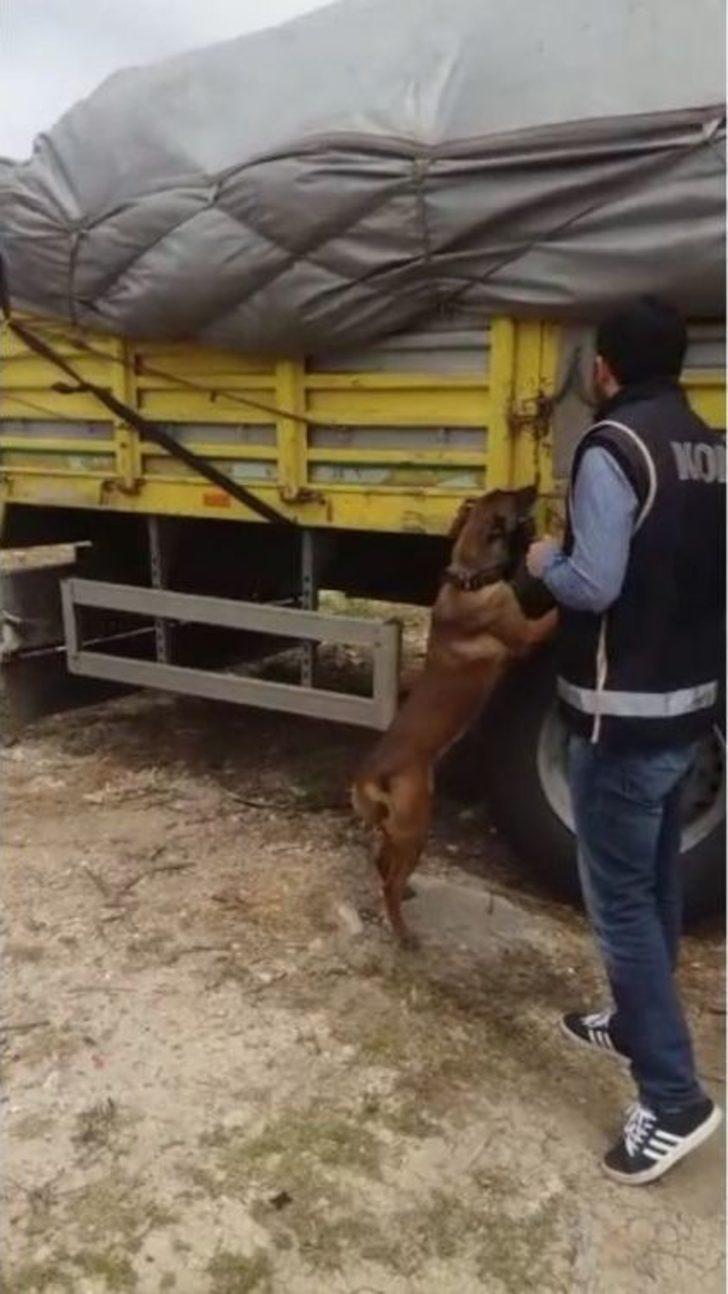 Kurumuş Yaprak Arası Kaçak Sigaraya "tiryaki" İzin Vermedi G3