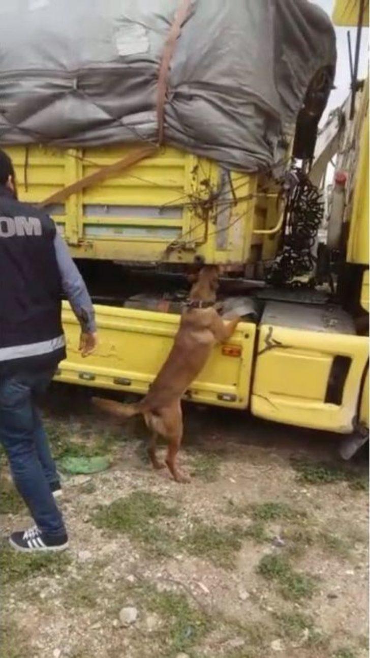 Kurumuş Yaprak Arası Kaçak Sigaraya "tiryaki" İzin Vermedi G4