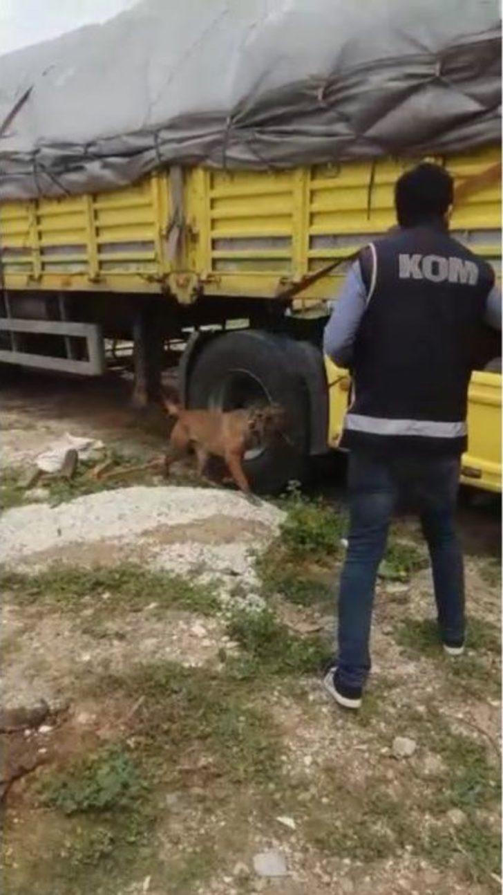 Kurumuş Yaprak Arası Kaçak Sigaraya "tiryaki" İzin Vermedi G5