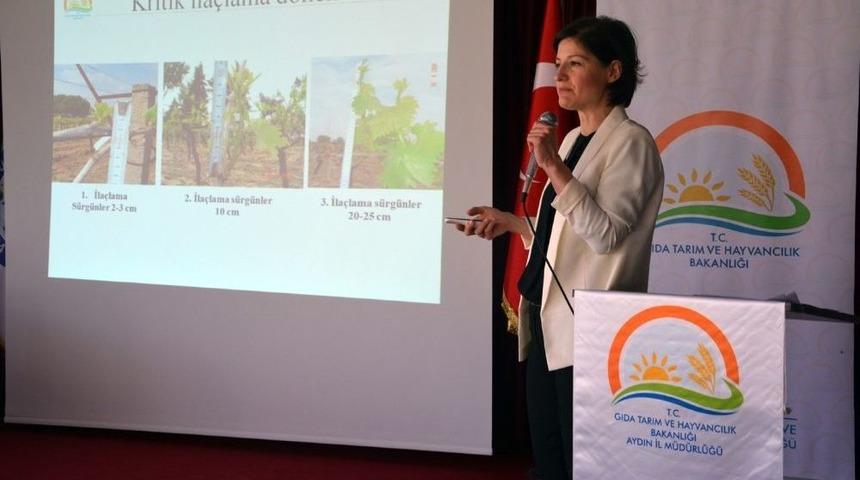 Buharkent’te Üzüm Konulu Eğitim Toplantısı Yapıldı