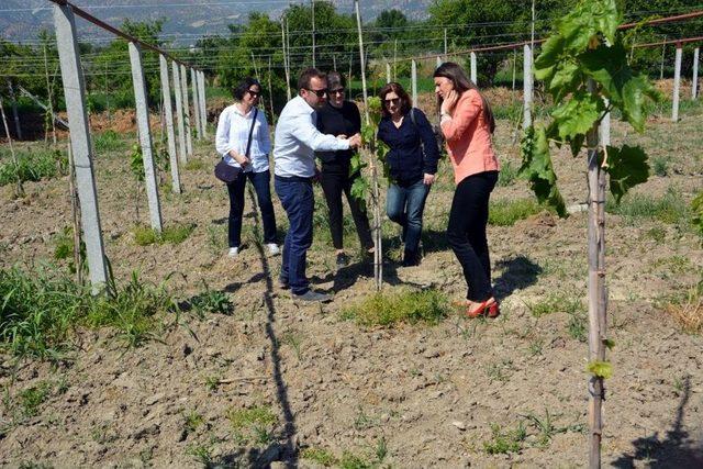 Buharkent’te Üzüm Konulu Eğitim Toplantısı Yapıldı