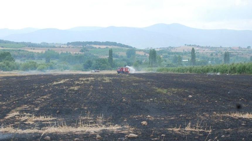 Bayrami&ccedil;&rsquo;te Tarla Yangını Korkuttu
