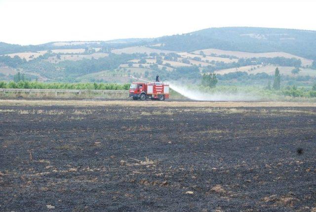 Bayramiç’te Tarla Yangını Korkuttu