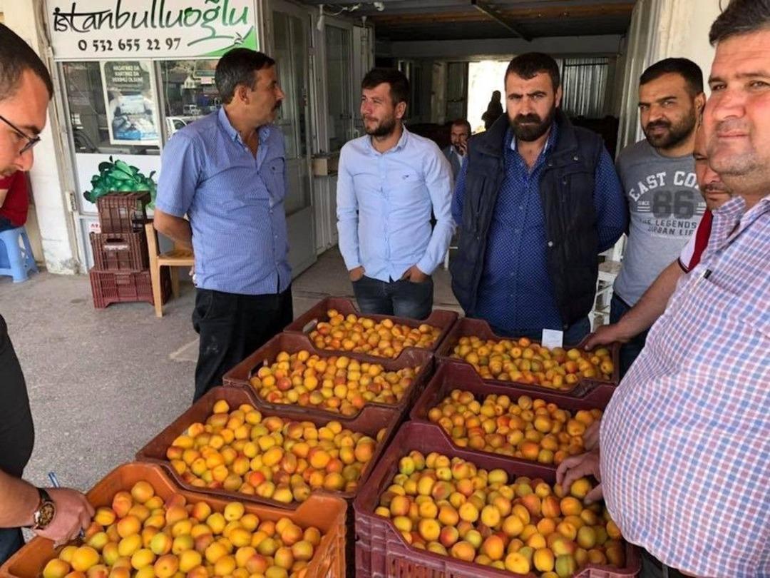 Mut&rsquo;ta Kaliteli Kayısı Ve Erik &Uuml;reticilerle T&uuml;ccarın Y&uuml;z&uuml;n&uuml; G&uuml;ld&uuml;rd&uuml;