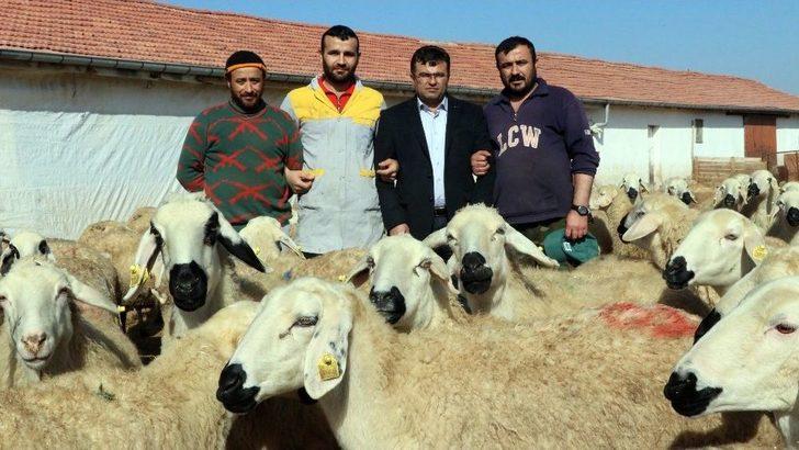 (özel) Aksaray’da Üreticiler ‘kendi İşinin Patronu Ol’ Projesine Hazırlanıyor G5