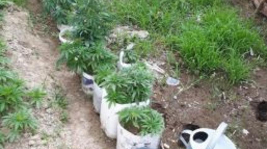 Tarsus&rsquo;ta 433 K&ouml;k Hint Keneviri Ele Ge&ccedil;irildi