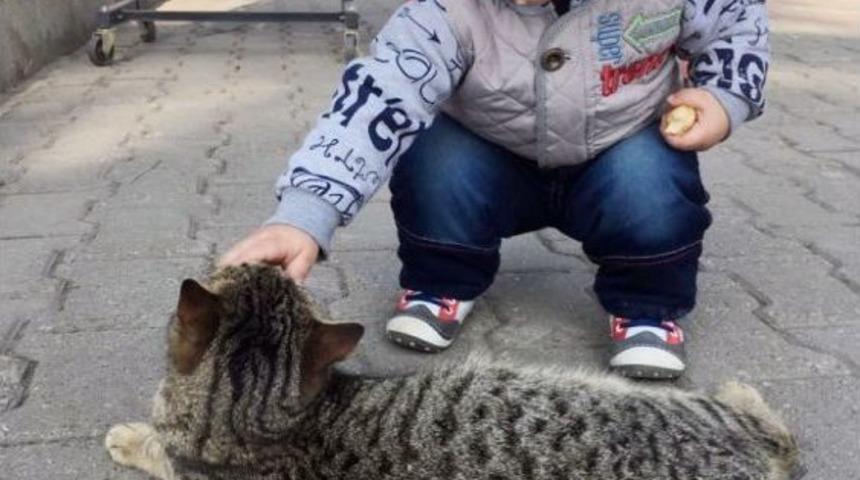 Kediyle Simidini Paylaşan &Ccedil;ocuğun Sevimli Halleri Kameraya Yansıdı