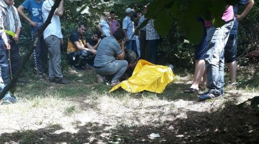 Dinlenmek İ&ccedil;in Oturdu, Bir Daha Kalkamadı