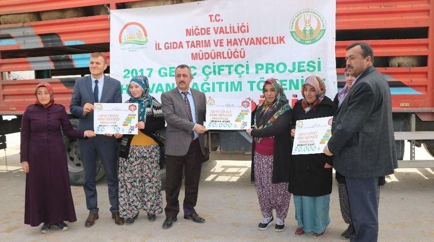 Niğde&rsquo;de Gen&ccedil; &Ccedil;ift&ccedil;ilere Bin 443 K&uuml;&ccedil;&uuml;kbaş Hayvan Verildi