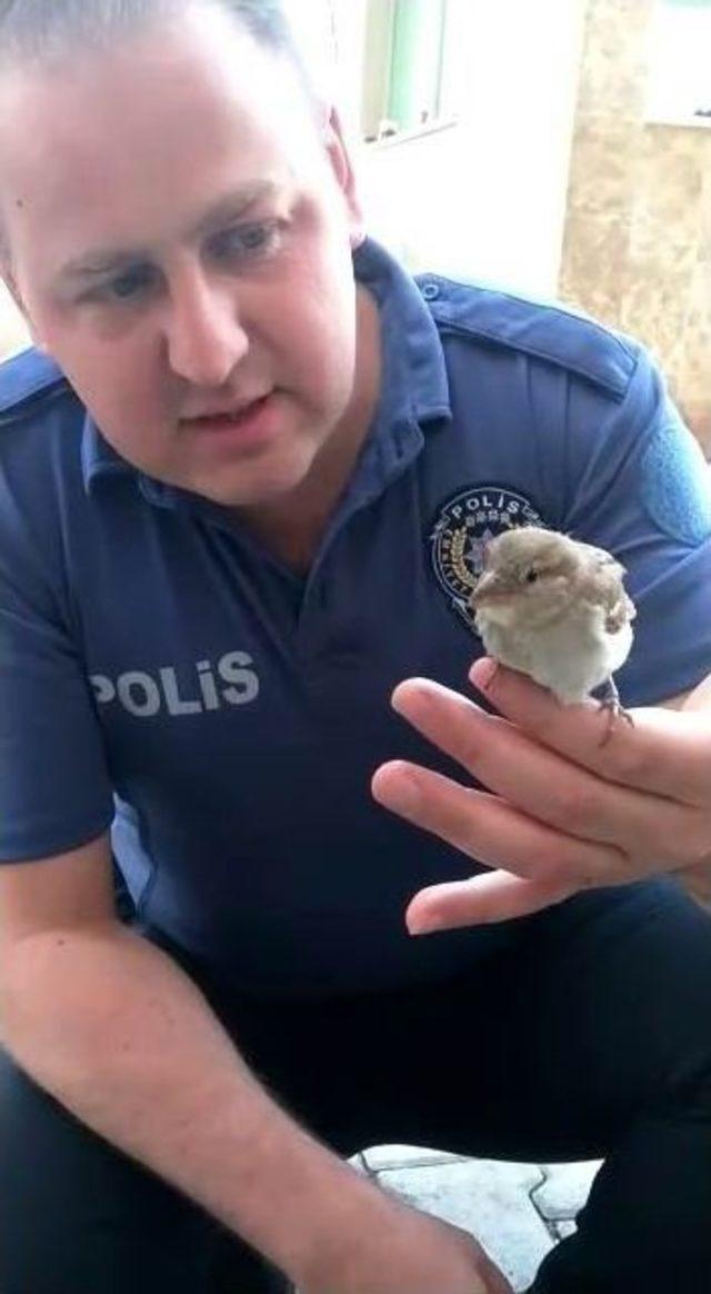 Polis Memurundan Kuşa Kalp Masajı