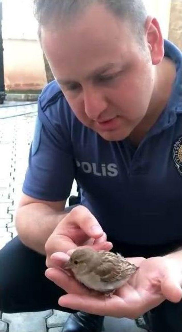 Polis Memurundan Kuşa Kalp Masajı