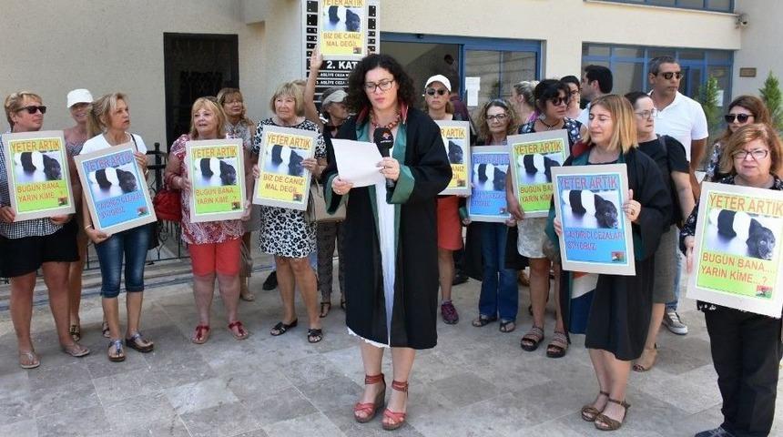 Marmaris&rsquo;te Hayvan Severlerden Su&ccedil; Duyurusu