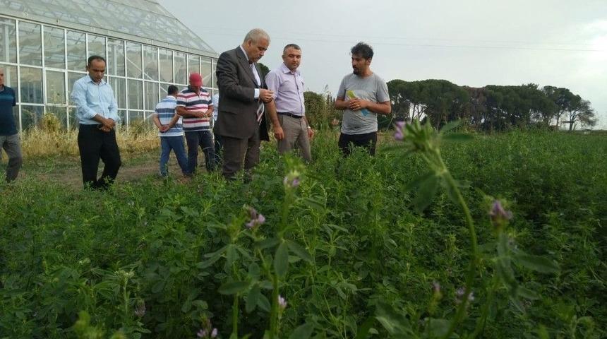 Vali G&uuml;ven&ccedil;er&rsquo;den Beydere&rsquo;de İnceleme