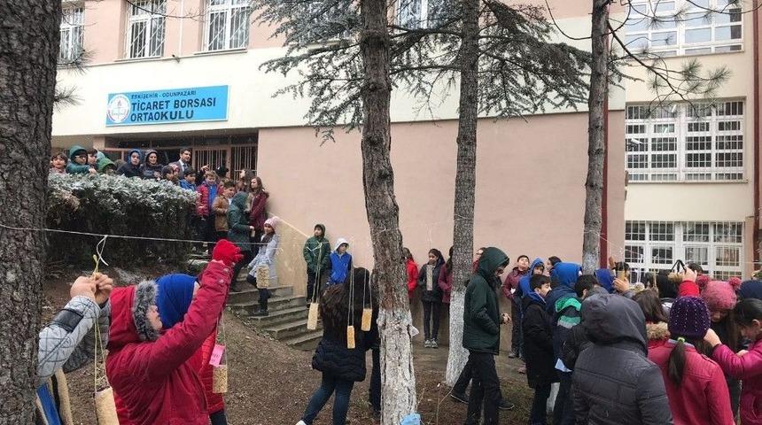 Okul Bah&ccedil;elerine Kuşları Davet Ettiler