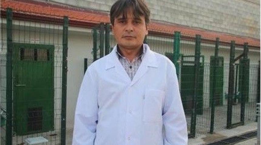 Dev Kelebek G&ouml;renleri Hayrete D&uuml;ş&uuml;rd&uuml;