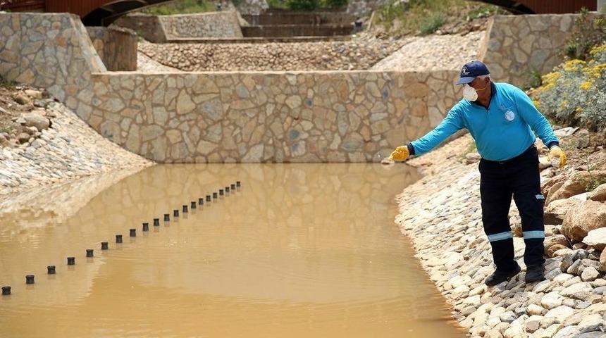 Merkezefendi’de İlaçlama Faaliyetlerine Devam Ediyor