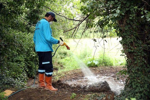 Merkezefendi’de İlaçlama Faaliyetlerine Devam Ediyor