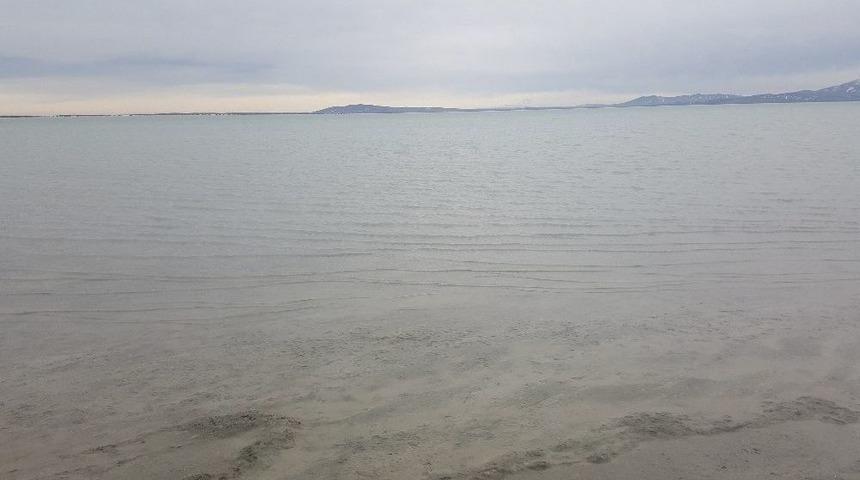 Seyfe G&ouml;l&uuml; Ekoloji Dernek Başkanı &Ouml;mer &Ccedil;etiner: