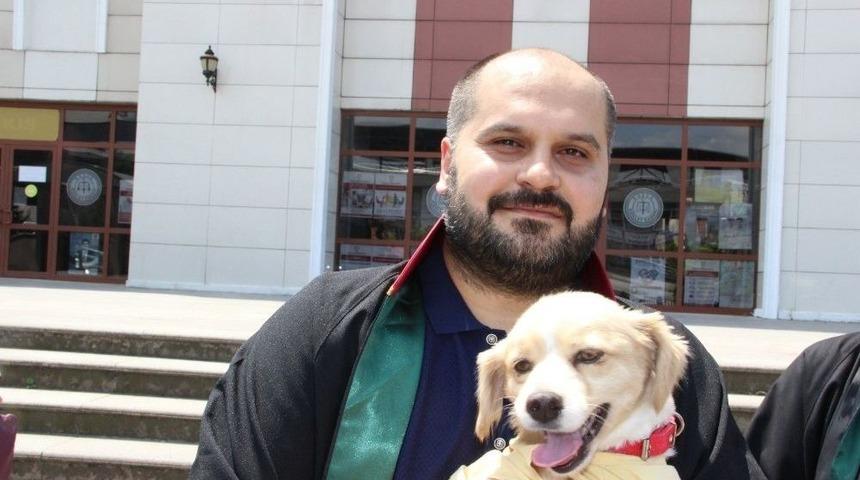 D&uuml;zce Barosundan Hayvan Hakları İhlaline Tepki