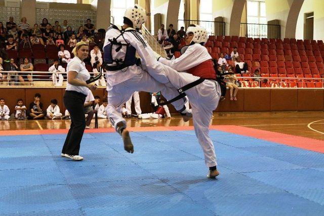 Aydın’da Taekwondo Rüzgarı Esti