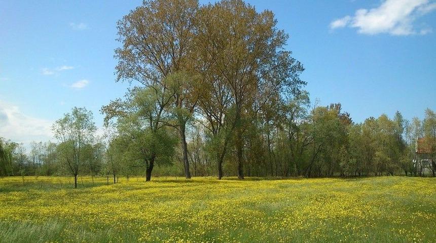 Doğal Ve Kültürel Miras Gelecek Kuşaklara Aktarılacak