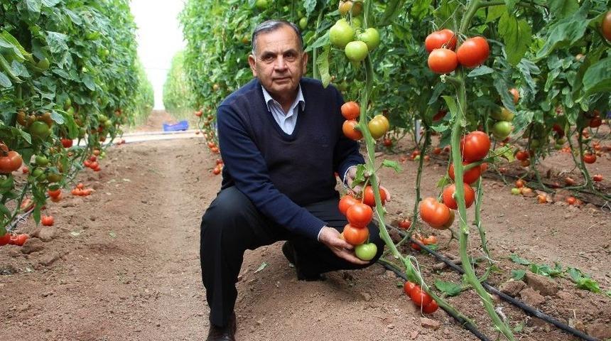 Ziraat Odasından "yemeğimize Zehir Katılıyor" Haberine Tepki