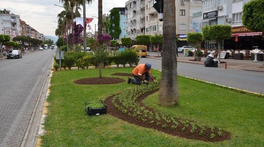 Alanya&rsquo;ya 300 Bin &Ccedil;i&ccedil;ek
