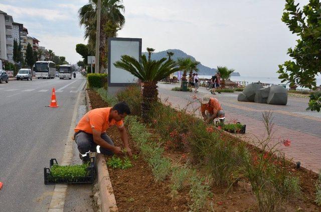 Alanya’ya 300 Bin Çiçek