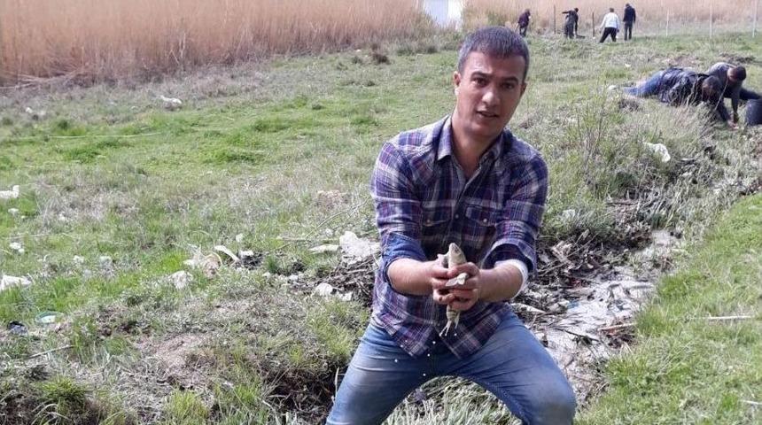 İnci Kefalini Kurtarmak İ&ccedil;in İnanılmaz M&uuml;cadele