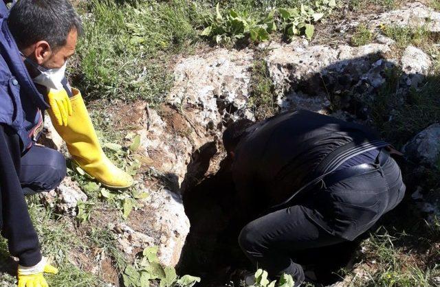 Kuyuda Cesedi Bulunan Kadının Yakınları Ve Çoban Serbest Bırakıldı